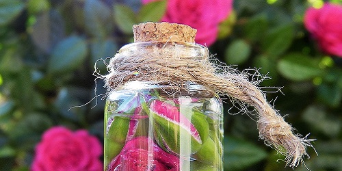 Bio und Naturprodukte aus D-A-CH und Südtirol